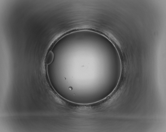 X0000112950789200908311508