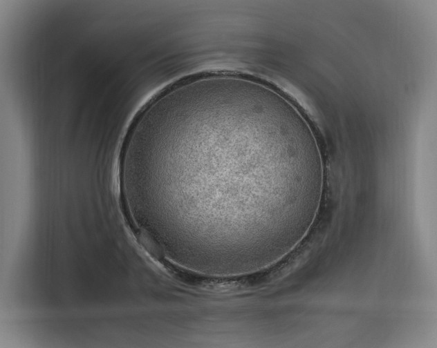 X0000112950791200908311508