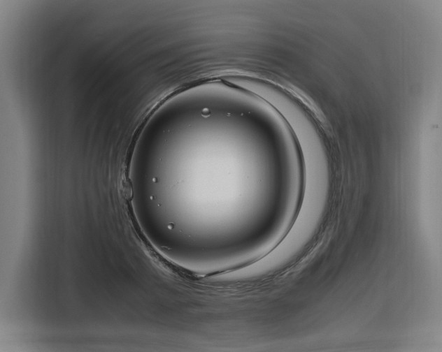 X0000112950793200908311508