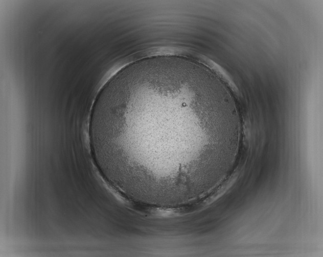 X0000112950794200908311508