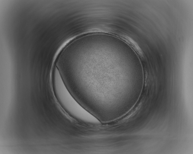 X0000112950796200908311508