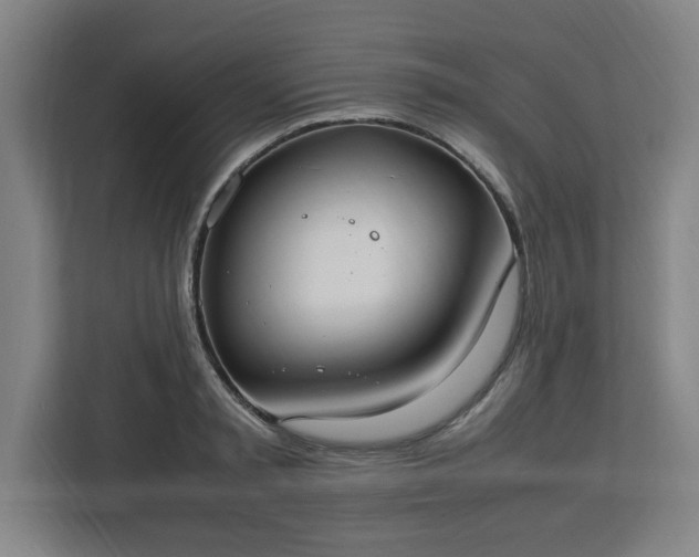 X0000112950797200908311508