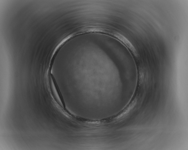 X0000112950798200908311508