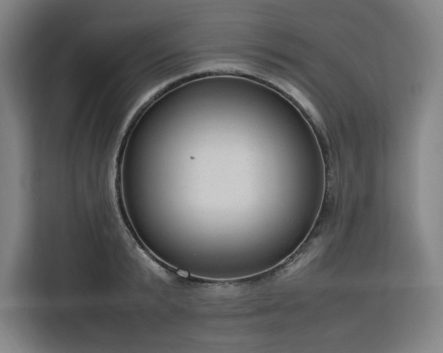 X0000112950799200908311508