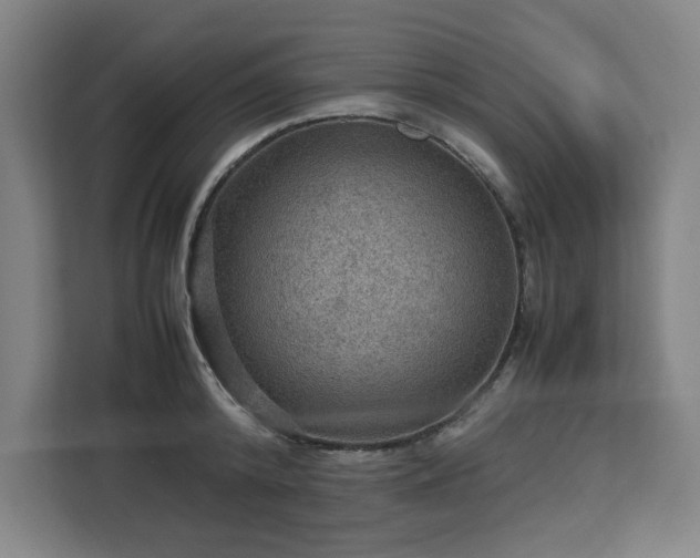 X0000112950800200908311508