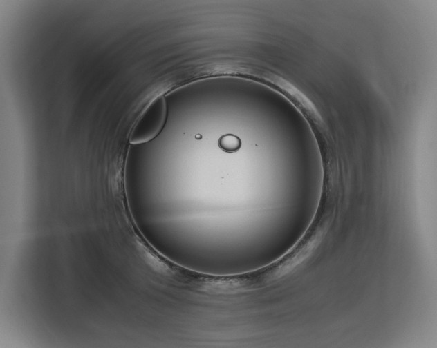 X0000112950801200908311508