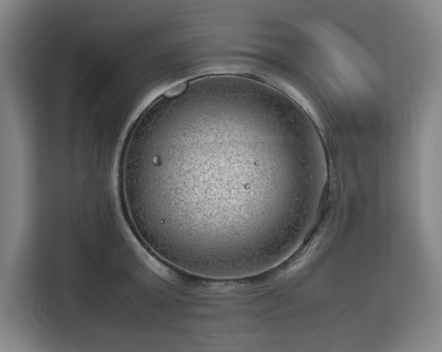 X0000112950803200908311508