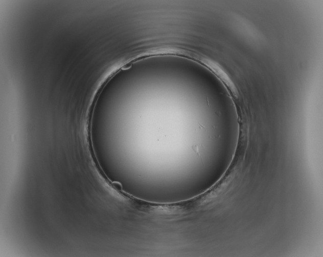 X0000112950805200908311508