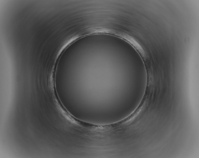 X0000112950806200908311508