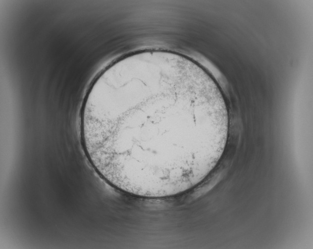 X0000112950807200908311508