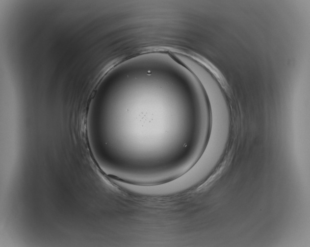 X0000112950809200908311508