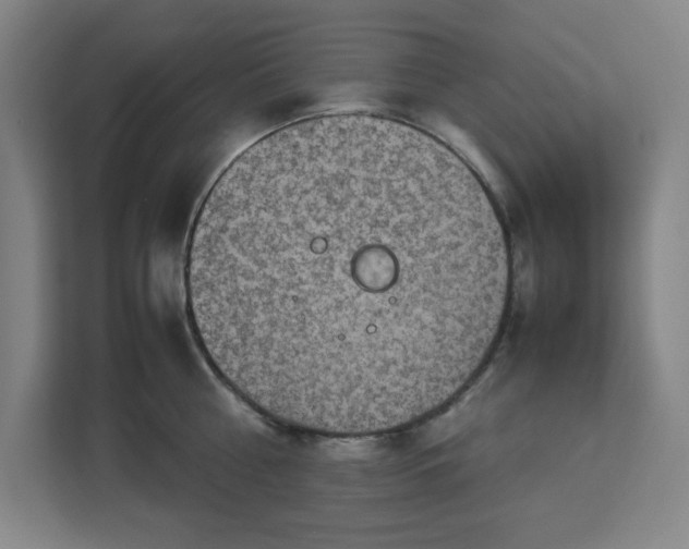 X0000112950810200908311508