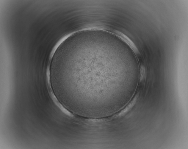 X0000112950812200908311508