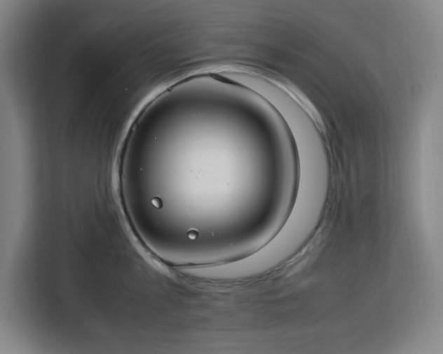 X0000112950813200908311508