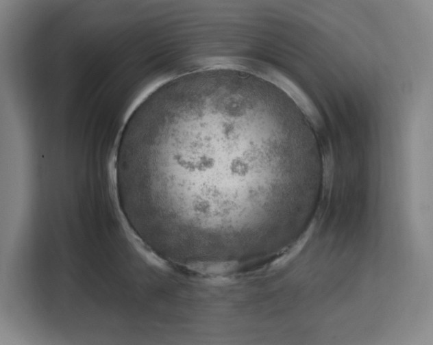 X0000112950814200908311508