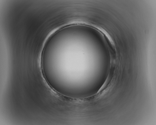 X0000112950815200908311508