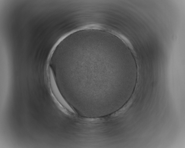 X0000112950816200908311508