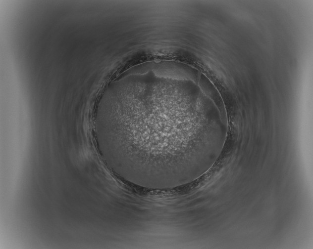 X0000112950817200908311507