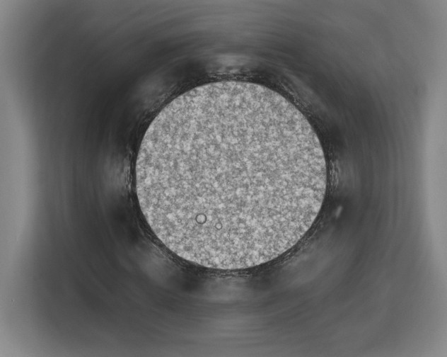 X0000112950820200908311507