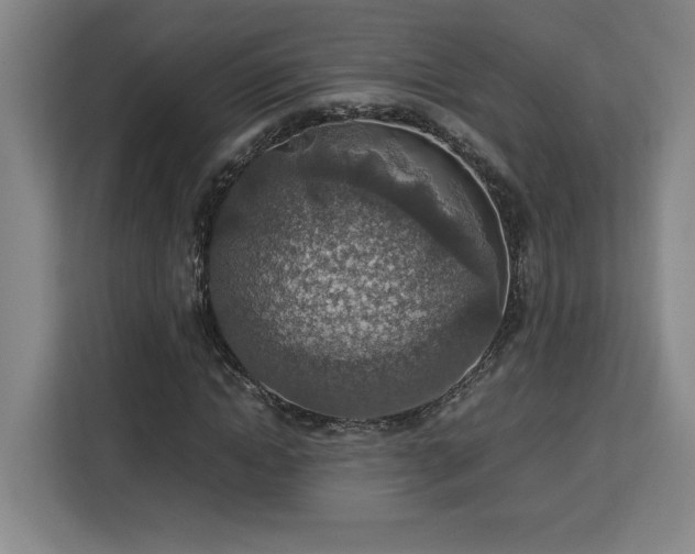 X0000112950822200908311507