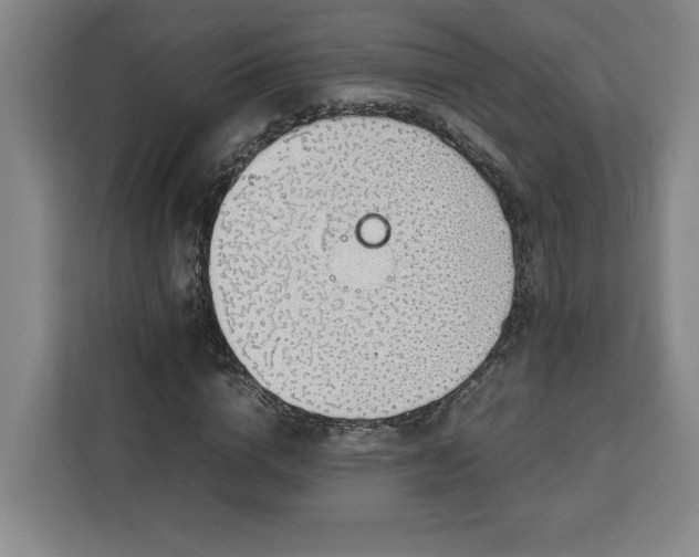 X0000112950824200908311507