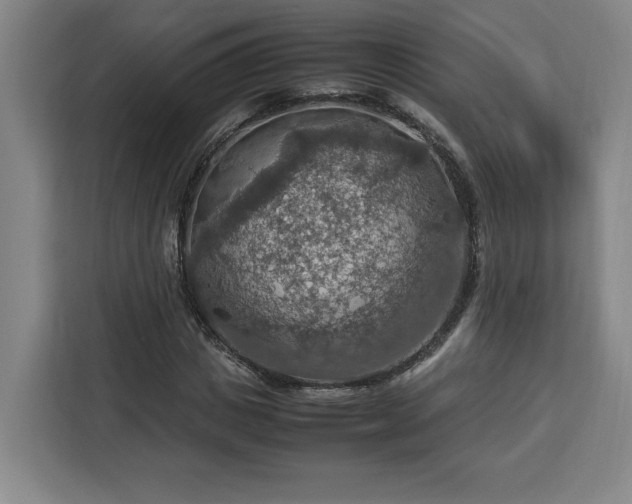 X0000112950825200908311507