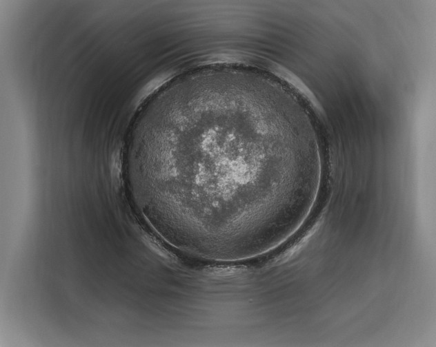 X0000112950826200908311507