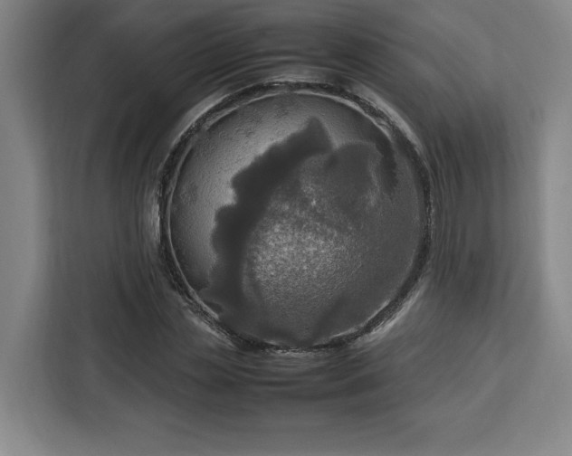 X0000112950829200908311507