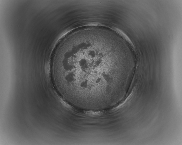 X0000112950831200908311507