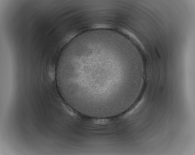 X0000112950833200908311507