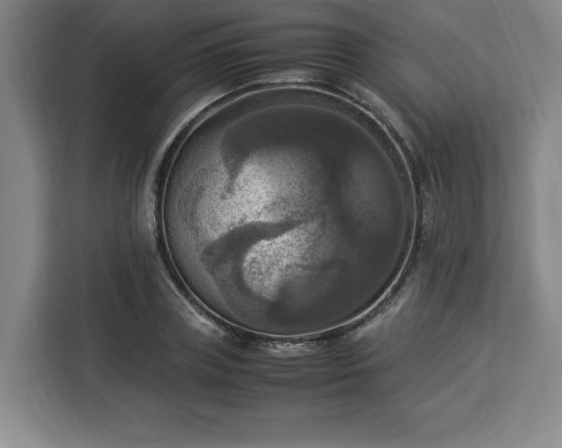 X0000112950835200908311508