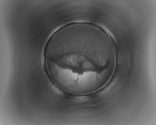 X0000112950837200908311508