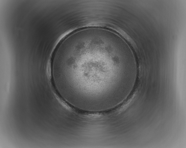 X0000112950838200908311508