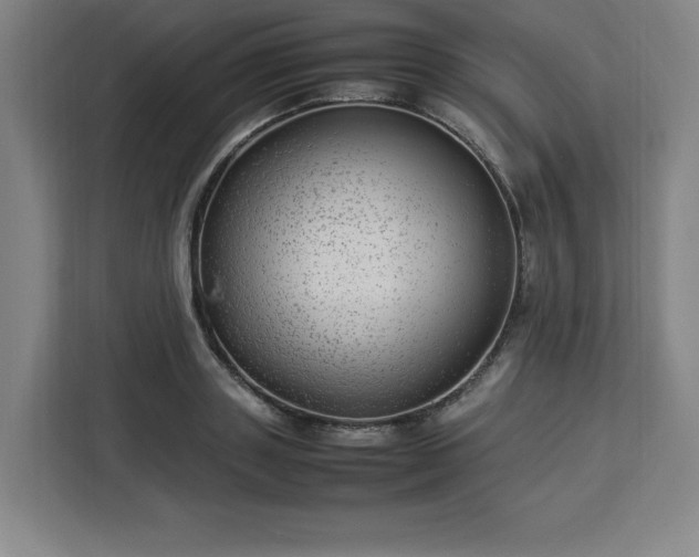 X0000112950843200908311508