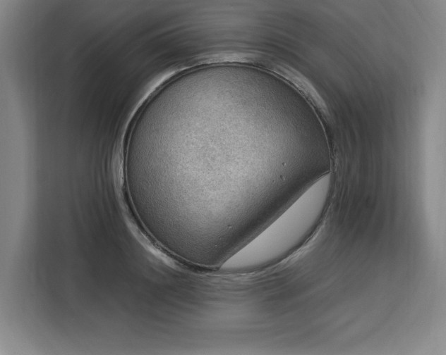 X0000112950844200908311508