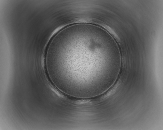 X0000112950846200908311508