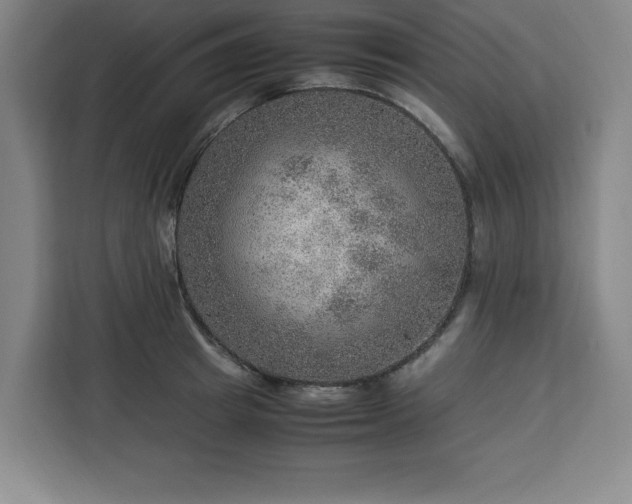 X0000112950849200908311508