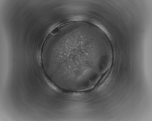 X0000112950850200908311508