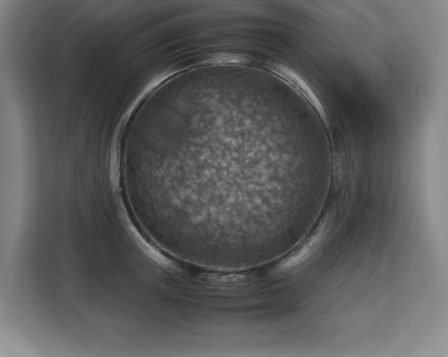 X0000112950851200908311508