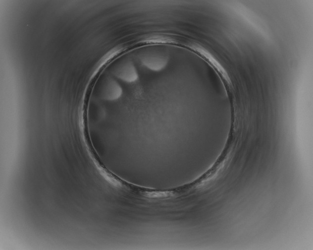 X0000112950853200908311508