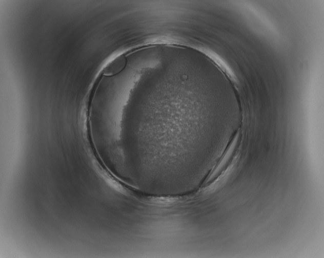 X0000112950854200908311508