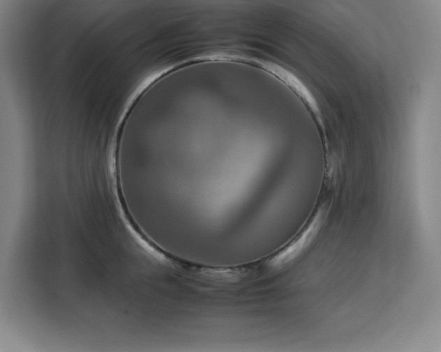 X0000112950855200908311508