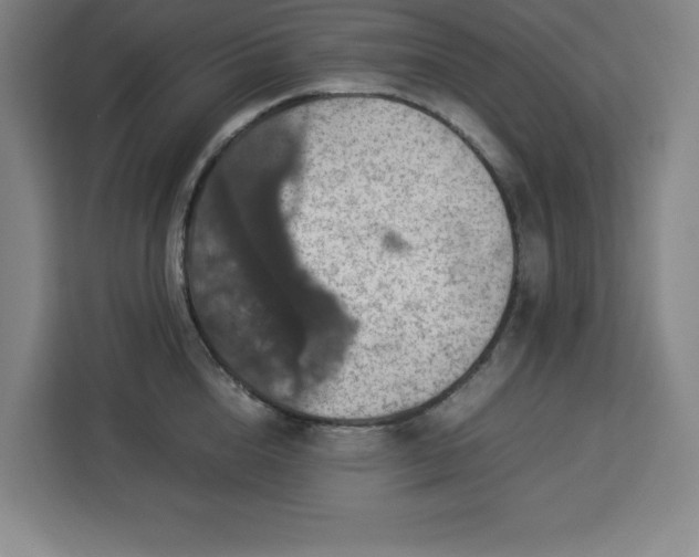 X0000112950856200908311508