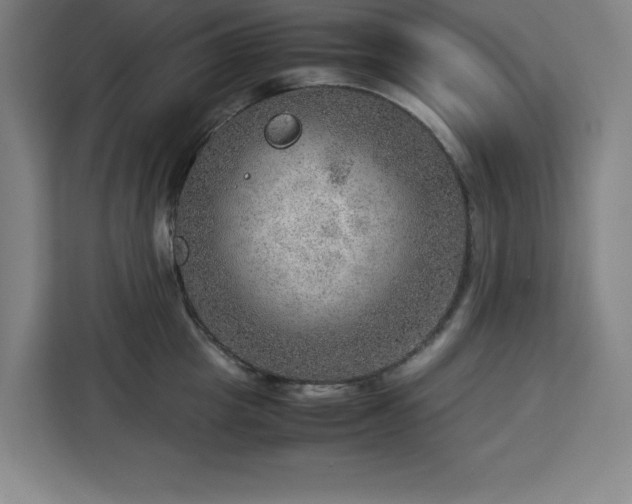 X0000112950857200908311508