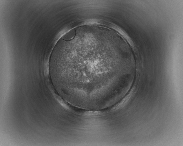 X0000112950858200908311508