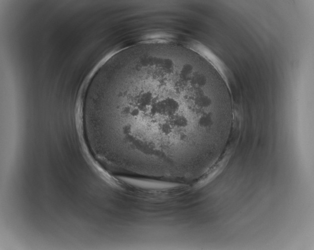 X0000112950859200908311508