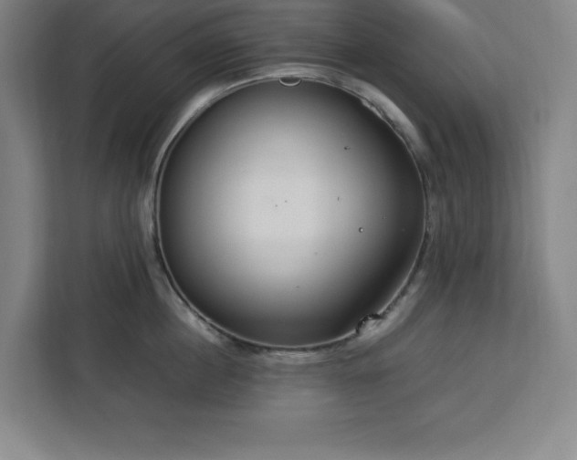 X0000112950860200908311508