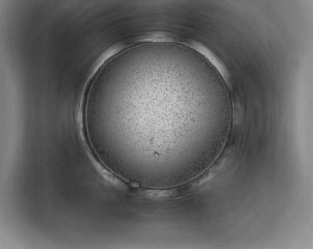 X0000112950861200908311508