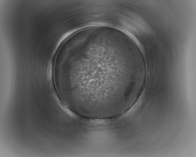 X0000112950862200908311508