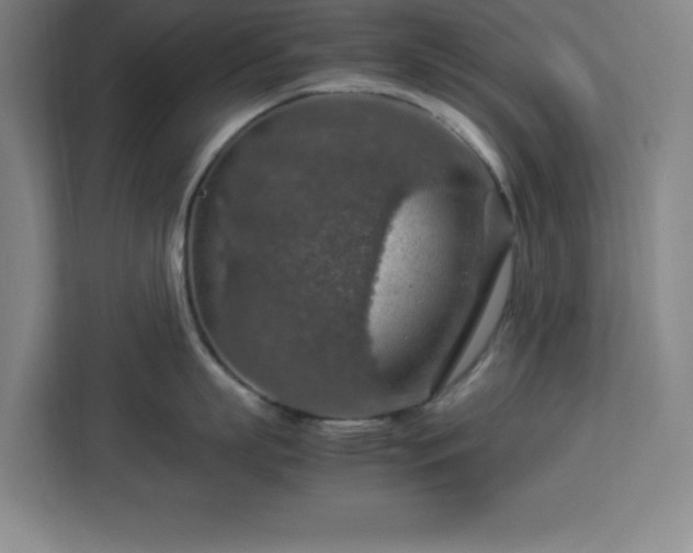 X0000112950863200908311508